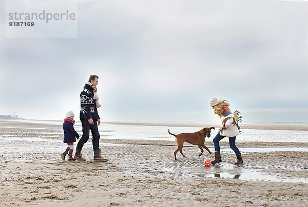 Mittlere erwachsene Eltern mit Tochter und Hund beim Fußballspielen am Strand  Bloemendaal aan Zee  Niederlande