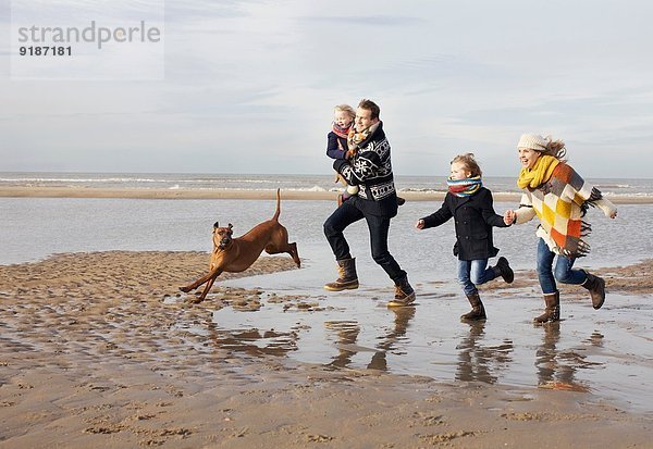 Mittlere erwachsene Eltern mit Sohn  Tochter und Hund am Strand  Bloemendaal aan Zee  Niederlande