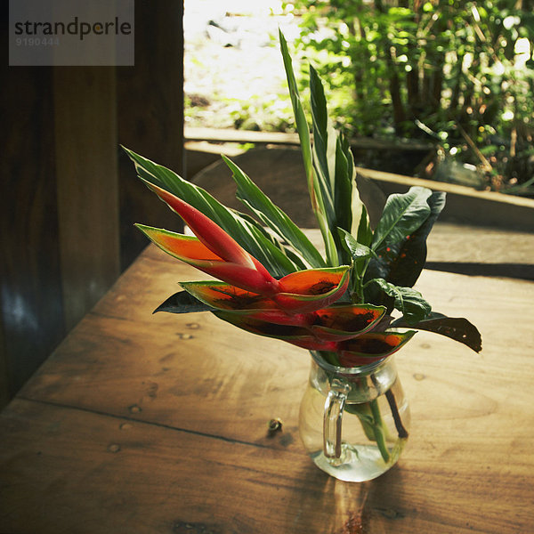 Frischer Paradiesvogel und Blätter in Blumenvase auf dem Tisch