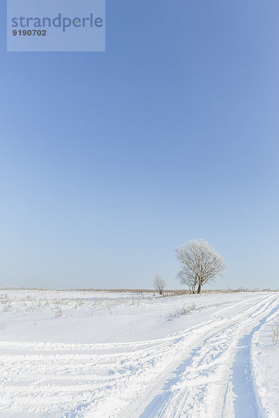 Ruhiger Blick auf die verschneite Landschaft bei klarem  blauem Himmel