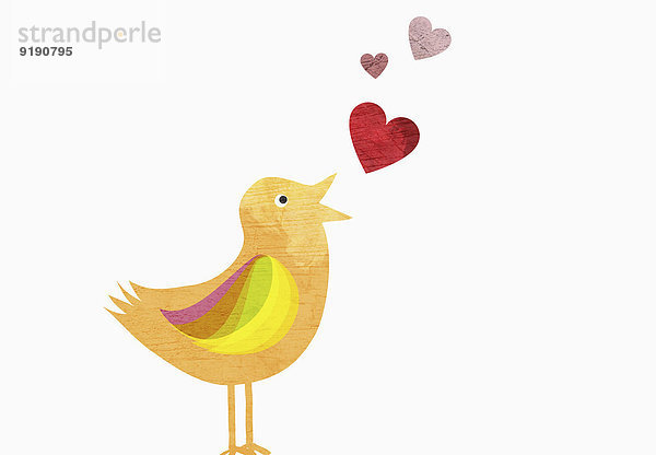 Singvogel mit Herzformen  die Liebe vor weißem Hintergrund darstellen.