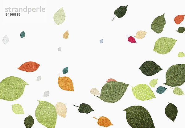Mehrfarbige Blätter auf weißem Hintergrund