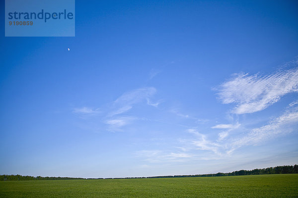 Blick auf eine grüne Landschaft mit Himmel darüber