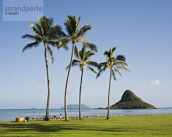 Blick auf Chinaman's Hat vom Strand  Oahu  Hawaii  USA