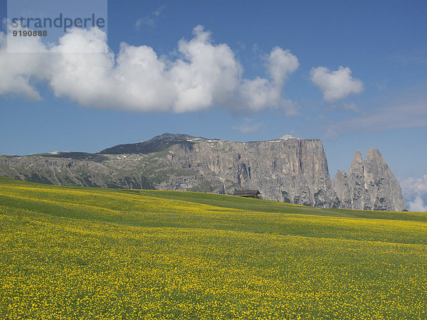 Wiese und Berge vor bewölktem Himmel