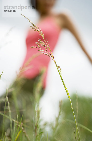 Frau geht durchs Feld  Fokus auf hohes Gras im Vordergrund  niedriger Blickwinkel