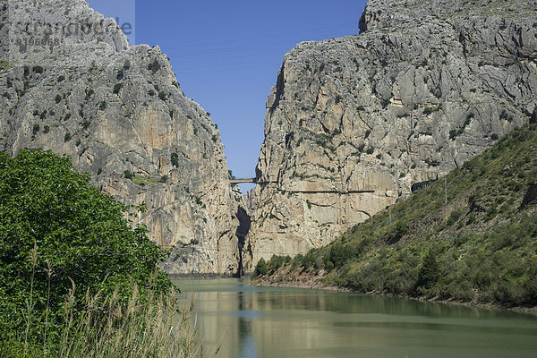 Rio Guadalhorce mit Canyon und dem Klettersteig Caminito del Rey  Alora  Andalusien  Spanien