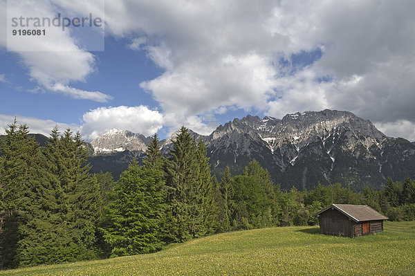 Karwendelgebirge  davor eine Almhütte  Mittenwald  Bayern  Deutschland