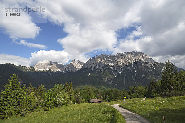 Karwendelgebirge  davor ein Wanderweg  Mittenwald  Bayern  Deutschland