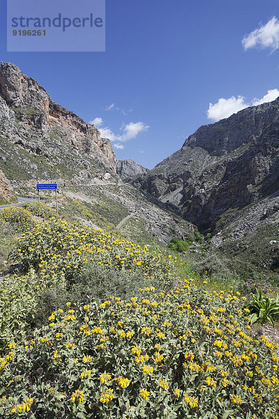 Kourtaliotiko-Schlucht  Fluss Megalopotamos  Rethymno  Kreta  Griechenland