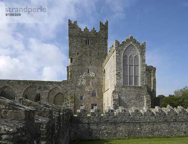 Ruine der Tintern Abbey  County Wexford  Irland