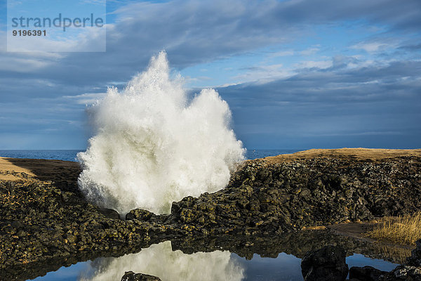 Fontäne an Blowhole  Brandung schießt durch Felsspalte aus dem Boden  Anarstapi  Snaefellsness Halbinsel Island