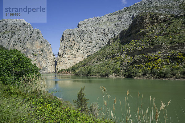 Rio Guadalhorce mit Canyon und dem Klettersteig Caminito del Rey  Alora  Andalusien  Spanien