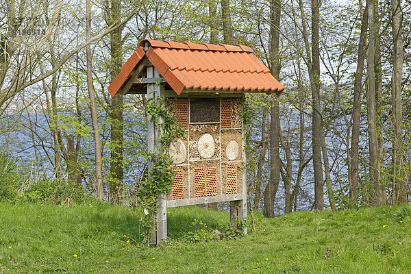 Insektenhotel  Plön  Schleswig-Holstein  Deutschland