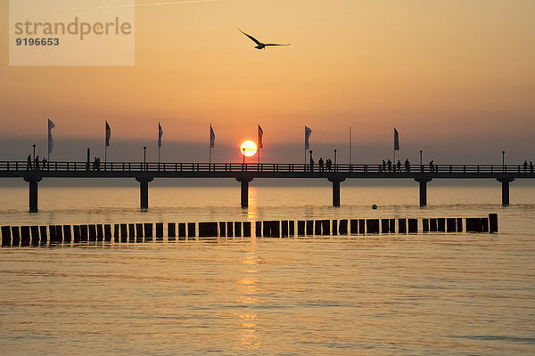 Sonnenuntergang Kai Ostsee Baltisches Meer Deutschland Mecklenburg-Vorpommern Zingst