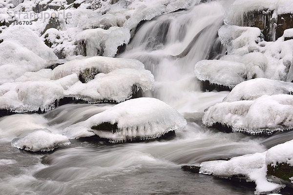 Wasserfall im Selketal mit Eis und Schnee bedeckt  Alexisbad  Sachsen-Anhalt  Deutschland