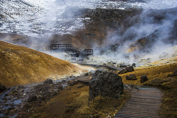 Geothermiegebiet  Fumarolen von Seltun  Krysavik  Island