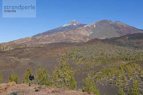 Tourist  Aussicht vom Vulkankrater Samara  auf den Vulkan Pico del Teide  3718m  Vulkan Pico del Viejo  3134m  und Vulkan de la Botija  2122m  Teide-Nationalpark  UNESCO Weltnaturerbe  Teneriffa  Spanien