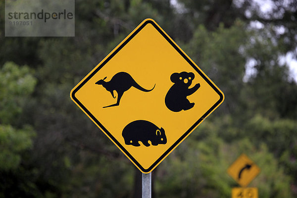 Warnschild  Koala  Wombat  Känguru  Victoria  Australien