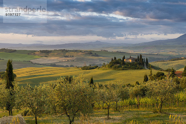 Baum Landschaft Hügel Bauernhof Hof Höfe Morgendämmerung UNESCO-Welterbe Italien Toskana Morgenlicht Provinz Siena