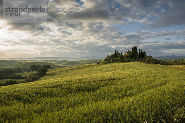 Baum Landschaft Hügel Bauernhof Hof Höfe Morgendämmerung UNESCO-Welterbe Toskana Morgenlicht Provinz Siena