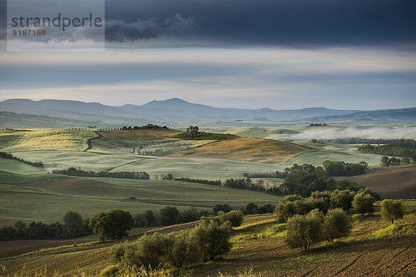 Landschaft mit Hügeln  Morgenlicht  UNESCO Weltkulturerbe Val d'Orcia  bei Pienza  Provinz Siena  Toskana  Italien