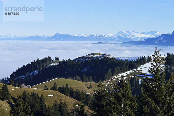 Meer Nebel Alpen Ansicht Mittelpunkt schweizerisch Schweiz Kanton Bern