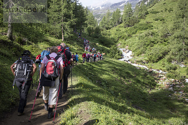 Wallfahrer im Seidlwinkltal  Großglockner-Wallfahrt von Fisch und Rauris nach Heiligenblut  Kärnten  zu Hl. Peter und Paul  Land Salzburg  Österreich