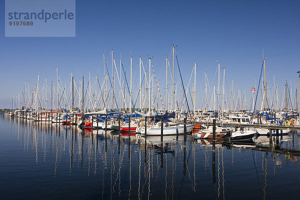 Segelboote im Yachthafen  Grömitz  Schleswig-Holstein  Deutschland