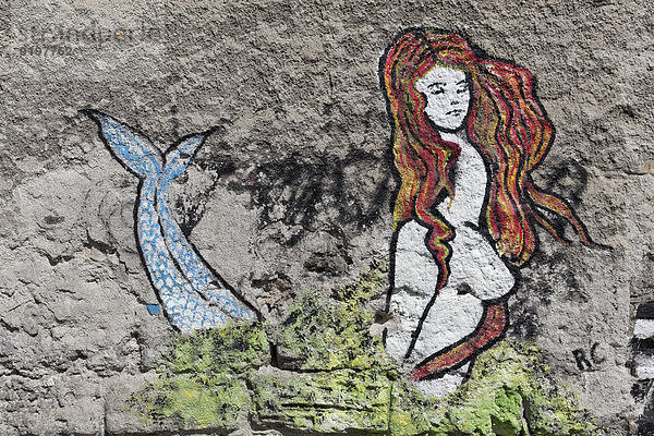 Nixe  Meerjungfrau  Wandbild in der Altstadt  Palermo  Provinz Palermo  Sizilien  Italien