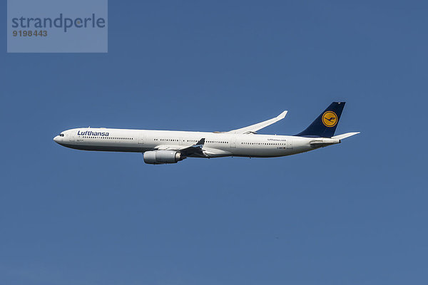 Ein Airbus A 340-600 der Lufthansa beim Start vom Frankfurter Flughafen  Frankfurt am Main  Hessen  Deutschland