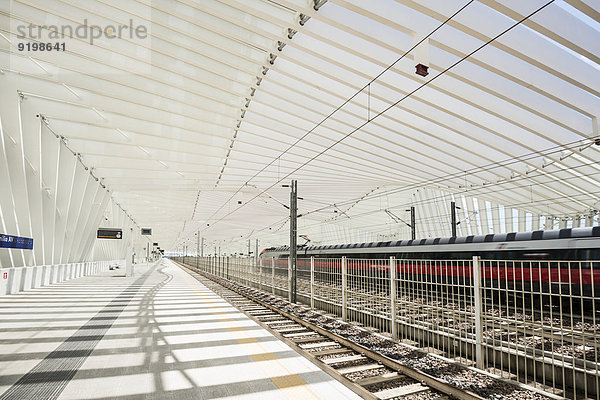 Hochgeschwindigkeitsbahnhof Mediopadana  Architekt Santiago Calatrava  Reggio nell?Emilia  Provinz Reggio Emilia  Italien