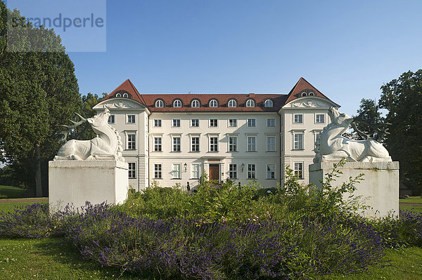 Hauptfassade mit Parkanlage von Schloss Wedendorf  1679 gebaut  1810 im klassizistischem Stil umgebaut  vorne zwei Hirschskulpturen  heute Hotel  Wedendorf  Mecklenburg-Vorpommern  Deutschland