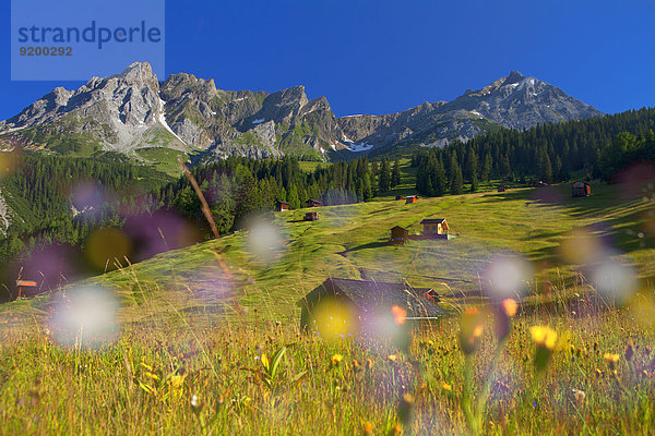 Hütten  Lechtaler Alpen  Stanzertal  Tirol  Österreich  Europa