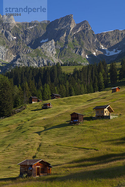 Hütten  Lechtaler Alpen  Stanzertal  Tirol  Österreich  Europa