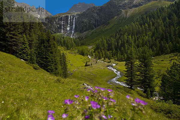 Anton-Renk-Wasserfall  Ötztaler Alpen  Oberinntal  Tirol  Österreich  Europa