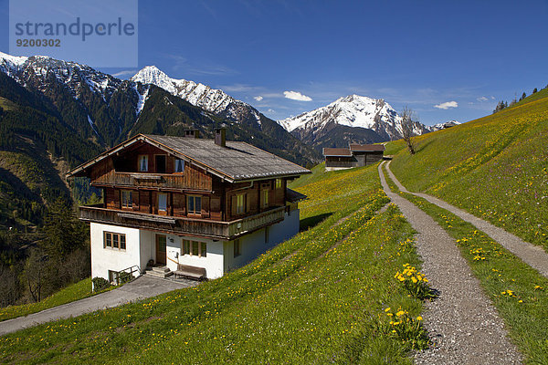 Europa Österreich Brandberg Tirol Zillertal