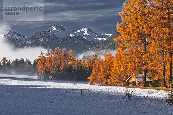 Mieminger Plateau und Lechtaler Alpen im Winter  Tirol  Österreich  Europa
