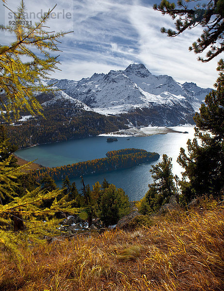 Silsersee und Berninagruppe  Graubünden  Schweiz  Europa