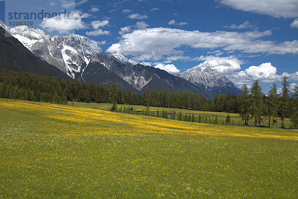 Mieminger Gebirge  Tirol  Österreich  Europa