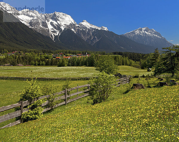 Hohe Munde  Mieminger Gebirge  Tirol  Österreich  Europa