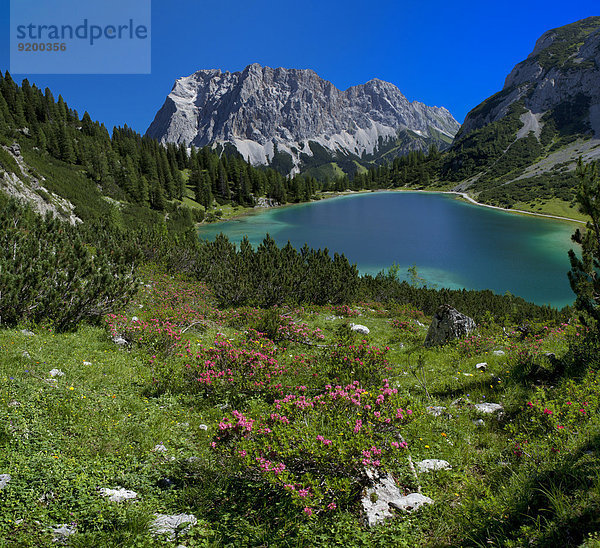 Zugspitze und Seebensee  Wettersteingebirge  Tirol  Österreich  Europa