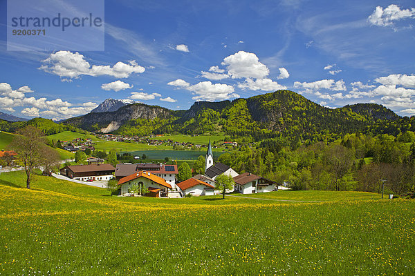 Vorderthiersee  Tirol  Österreich  Europa