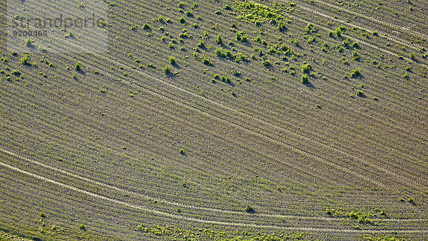 Reifenspuren im Feld  Baden-Württemberg  Deutschland  Luftbild