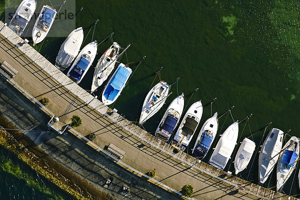 Boote im Hafen  Meersburg am Bodensee  Baden-Württemberg  Deutschland