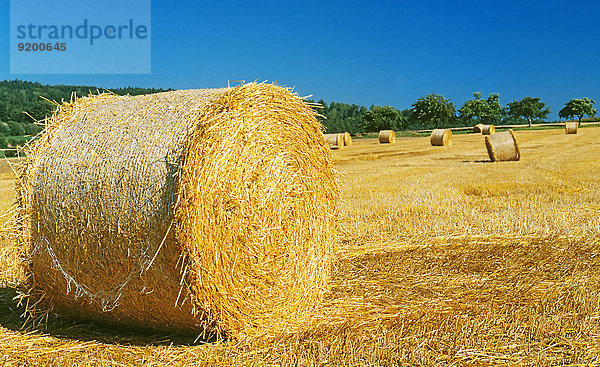 Strohballen auf dem Feld