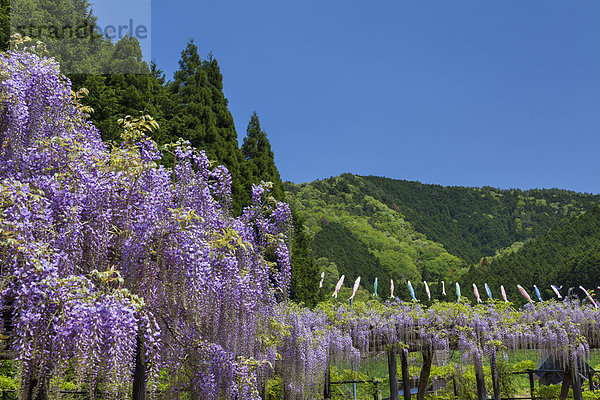 Hyogo Japan