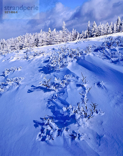 Nagano Japan