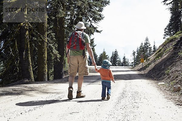 Rückansicht von Vater und Tochter  Händchen haltend durch den Wald in Oregon  USA