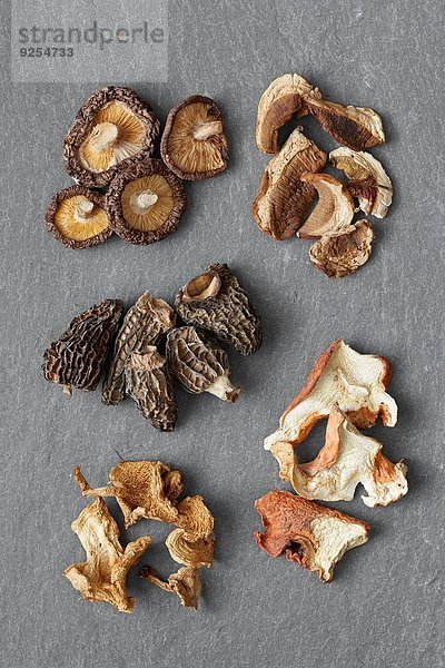 Fünf Sorten von getrockneten Pilzen: Shitake  Steinpilze  Morcheln  Igel  Hummer
